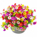 Composition de Fleurs Artificielles Multicolores avec Pot